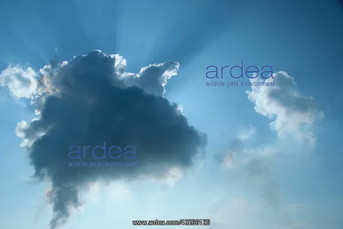 : Germany, Bonn. Rhine River clouds : Germany, Bonn. Rhine River clouds