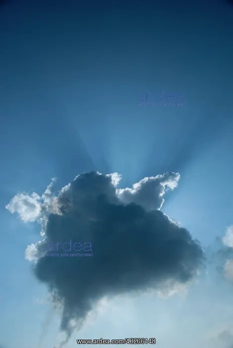 : Germany, Bonn. Rhine River clouds : Germany, Bonn. Rhine River clouds