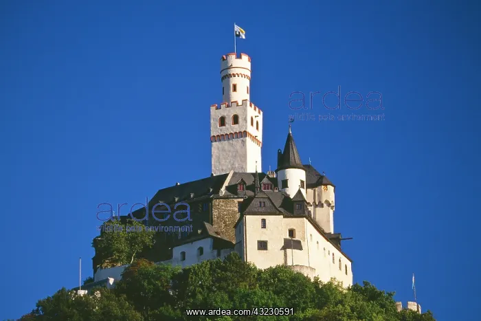 : Germany, Braubach, Rhine Valley, Marksburg : Germany, Braubach, Rhine Valley, Marksburg