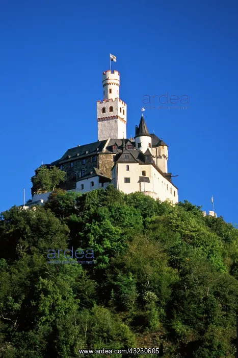 : Germany, Braubach, Rhine Valley, Marksburg : Germany, Braubach, Rhine Valley, Marksburg