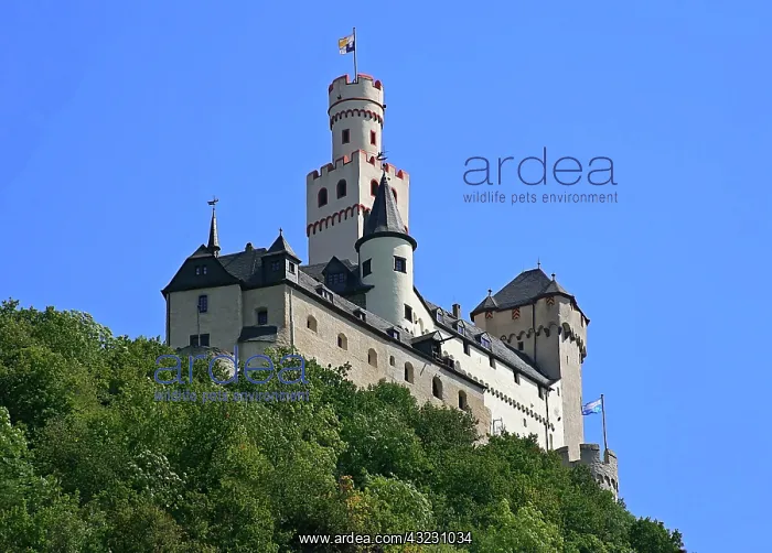 : Germany, Castle Marksburg near Braubach : Germany, Castle Marksburg near Braubach