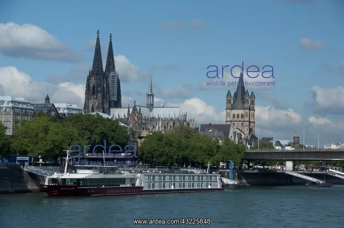  : Germany, Cologne (aka Koln). Rhine River
