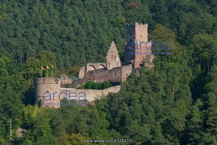 : Germany, Franconai. Hillside castle along : Germany, Franconai. Hillside castle along