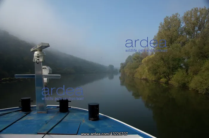 : Germany, Franconia. Cruising along the Main : Germany, Franconia. Cruising along the Main