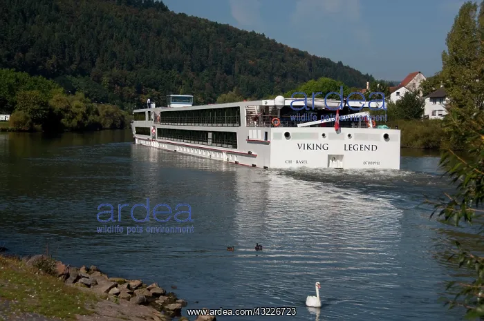 : Germany, Franconia, Wertheim. Viking Legend : Germany, Franconia, Wertheim. Viking Legend