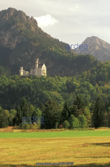 : Germany, Fussen. Neuschwanstein Castle : Germany, Fussen. Neuschwanstein Castle
