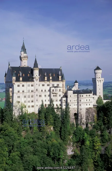 : Germany, Fussen. Neuschwanstein Castle : Germany, Fussen. Neuschwanstein Castle