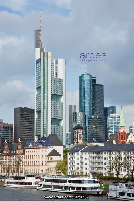 : Germany, Hessen, Frankfurt am Main. City : Germany, Hessen, Frankfurt am Main. City