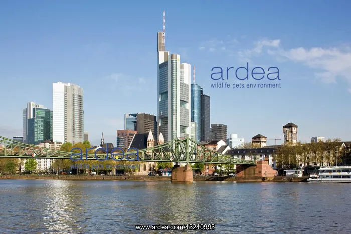: Germany, Hessen, Frankfurt am Main. City : Germany, Hessen, Frankfurt am Main. City