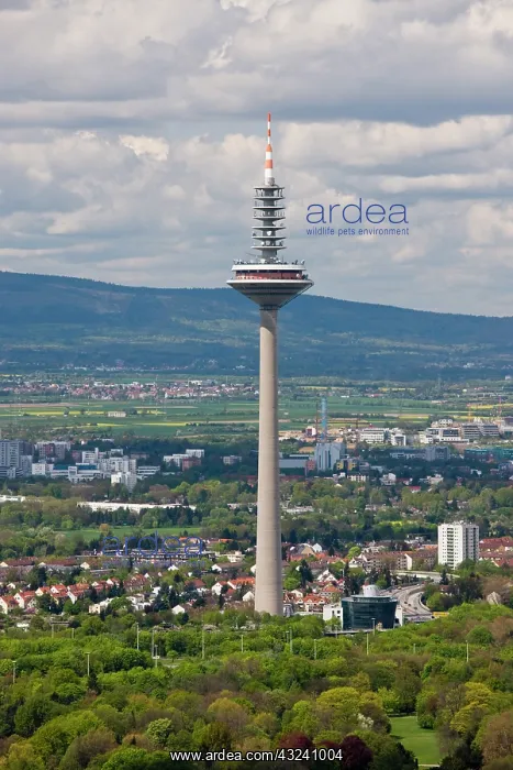 : Germany, Hessen, Frankfurt am Main. Main : Germany, Hessen, Frankfurt am Main. Main