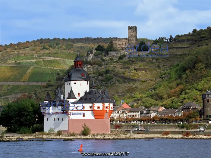 : Germany, Kaub, The Pfalz Castle in the Foreground : Germany, Kaub, The Pfalz Castle in the Foreground
