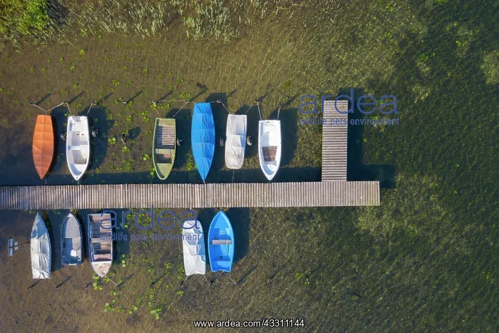 : Germany, Landscape, Ratzeburger, Schleswig-Holstein, aerial : Germany, Landscape, Ratzeburger, Schleswig-Holstein, aerial