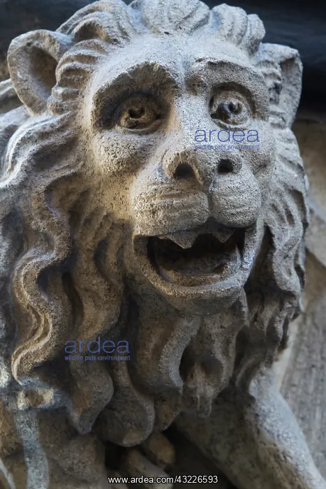 : Germany, Munich. Close-up of lion statue : Germany, Munich. Close-up of lion statue