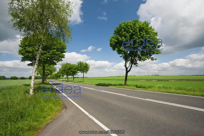 : Germany, Niedersachsen, Bergen. Rt 3 in : Germany, Niedersachsen, Bergen. Rt 3 in