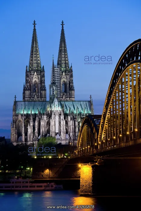 : Germany, Nordrhein-Westfalen, Cologne. Cologne : Germany, Nordrhein-Westfalen, Cologne. Cologne