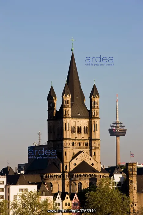 : Germany, Nordrhein-Westfalen, Cologne. Gross-St : Germany, Nordrhein-Westfalen, Cologne. Gross-St