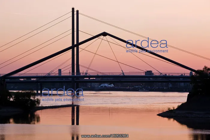 : Germany, Nordrhein-Westfalen, Dusseldorf : Germany, Nordrhein-Westfalen, Dusseldorf