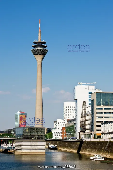 : Germany, Nordrhein-Westfalen, Dusseldorf : Germany, Nordrhein-Westfalen, Dusseldorf