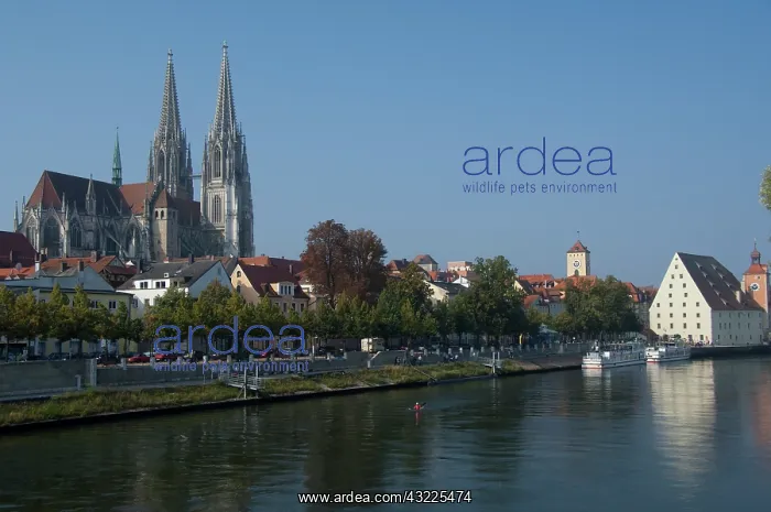 : Germany, Regensburg. Historic St. Peter's : Germany, Regensburg. Historic St. Peter's