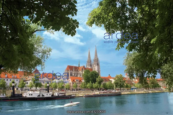 : Germany, Regensburg, Old Town Skyline with : Germany, Regensburg, Old Town Skyline with