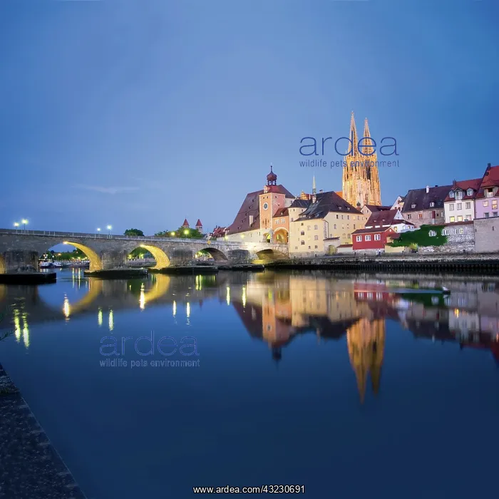 : Germany, Regensburg, Old Town Skyline with : Germany, Regensburg, Old Town Skyline with