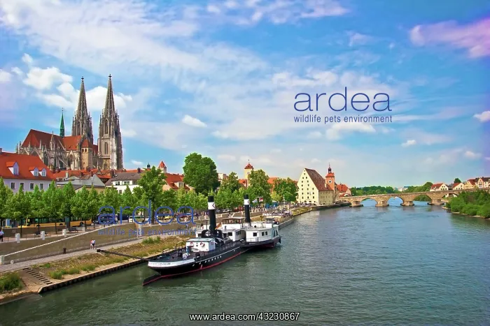 : Germany, Regensburg, Old Town Skyline with : Germany, Regensburg, Old Town Skyline with