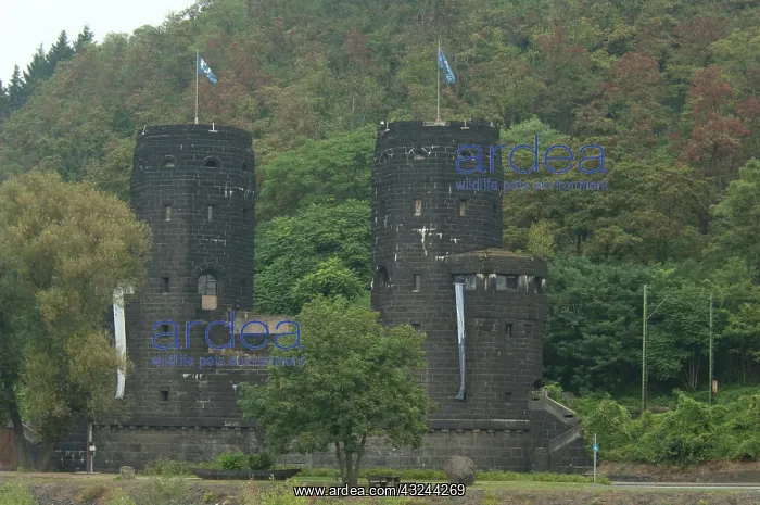 : Germany, Remagen. Monument at historic ruins : Germany, Remagen. Monument at historic ruins