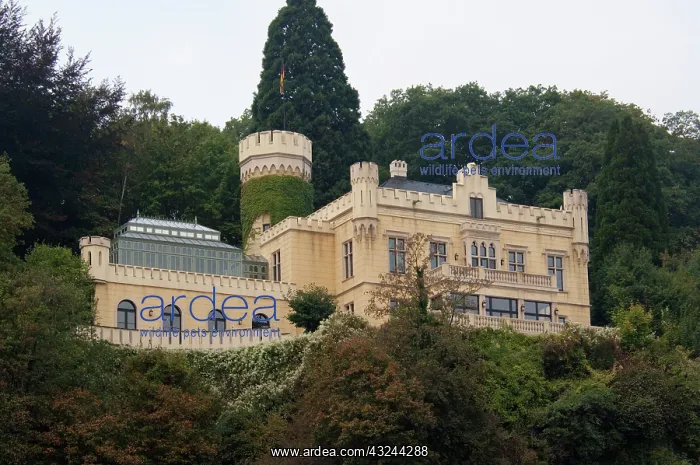 : Germany, Remagen. Rhine River views at mile : Germany, Remagen. Rhine River views at mile