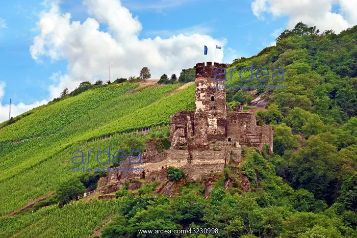 : Germany, Rheindiebach, Rhine, Rhineland-Palatinate : Germany, Rheindiebach, Rhine, Rhineland-Palatinate