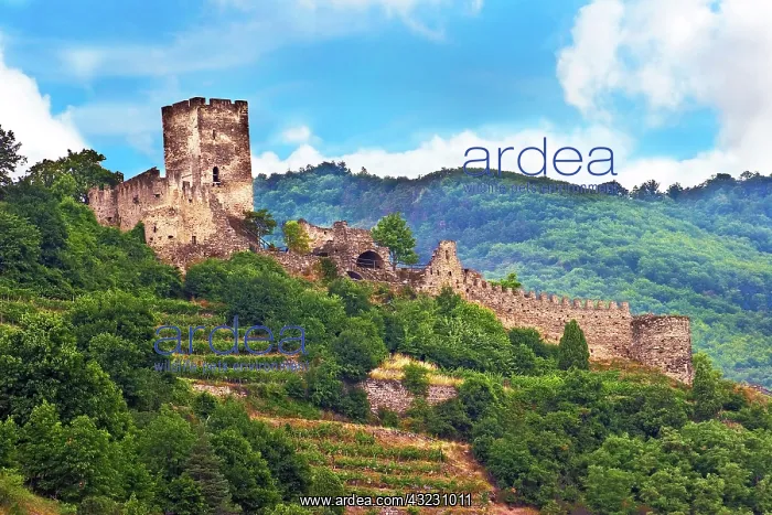 : Germany, Rheindiebach, Rhine, Rhineland-Palatinate : Germany, Rheindiebach, Rhine, Rhineland-Palatinate