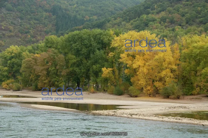 : Germany, Rhine River. View between Mainz : Germany, Rhine River. View between Mainz