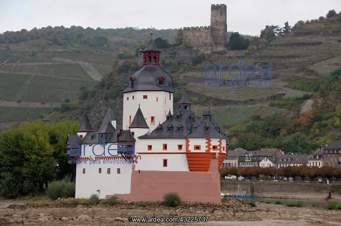 : Germany, Rhine River. View between Mainz : Germany, Rhine River. View between Mainz