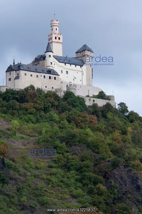 : Germany, Rhine River. View between Mainz : Germany, Rhine River. View between Mainz