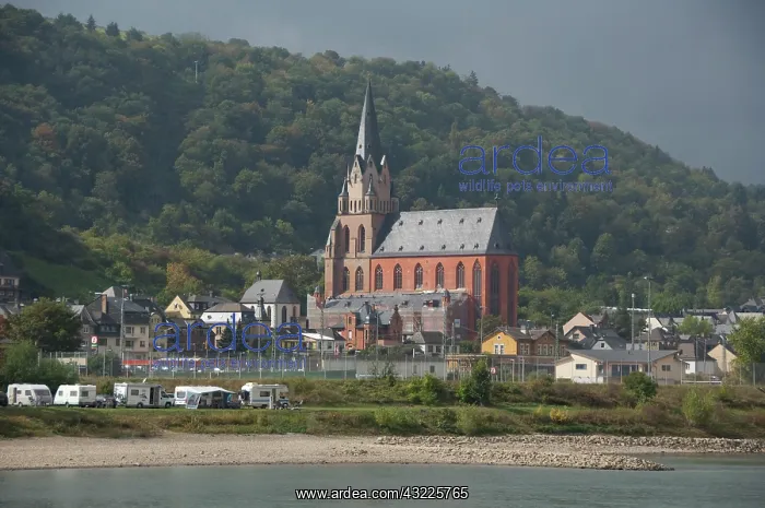 : Germany, Rhine River. View along the Rhine : Germany, Rhine River. View along the Rhine
