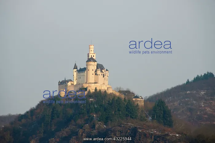 : Germany, Rhineland, Marksburg Castle. Rhine : Germany, Rhineland, Marksburg Castle. Rhine