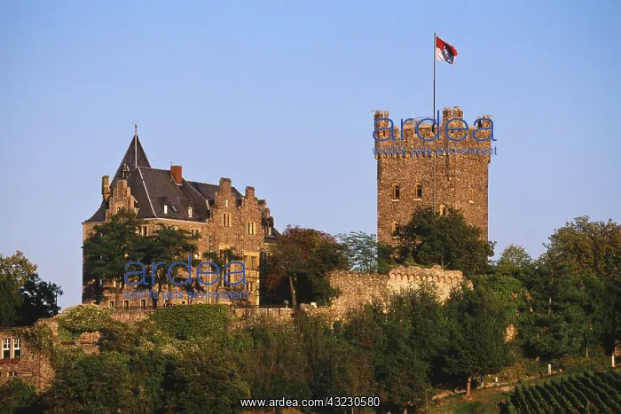 : Germany, Rhineland-Palatinate, Bingen am : Germany, Rhineland-Palatinate, Bingen am