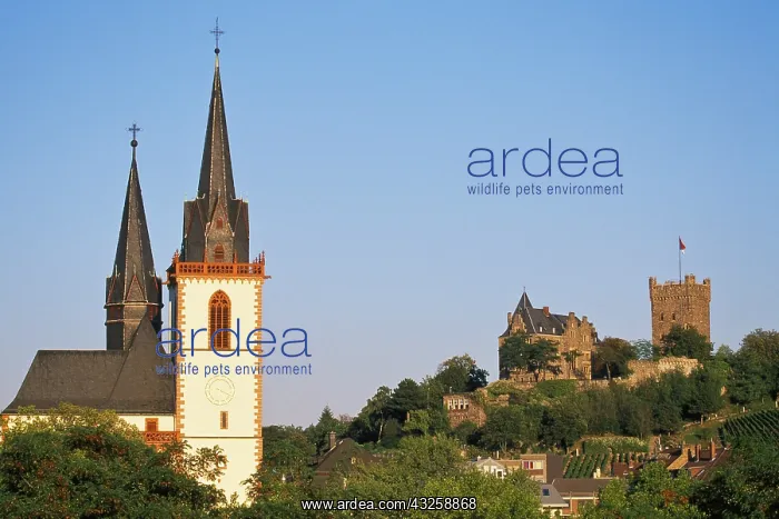 : Germany, Rhineland-Palatinate, Bingen am : Germany, Rhineland-Palatinate, Bingen am