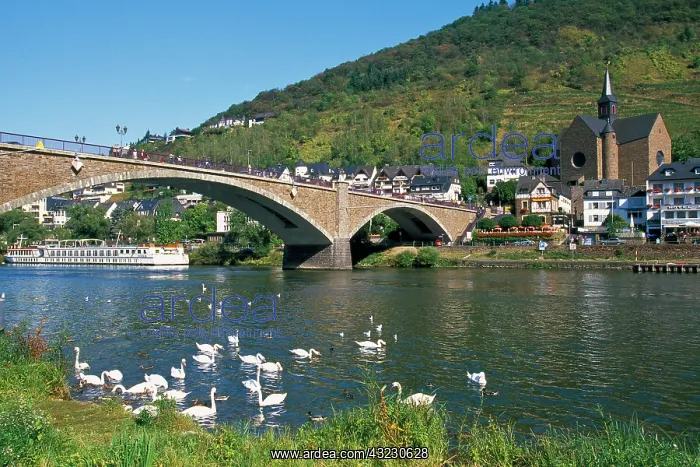 : Germany, Rhineland-Palatinate, Cochem, bridge : Germany, Rhineland-Palatinate, Cochem, bridge