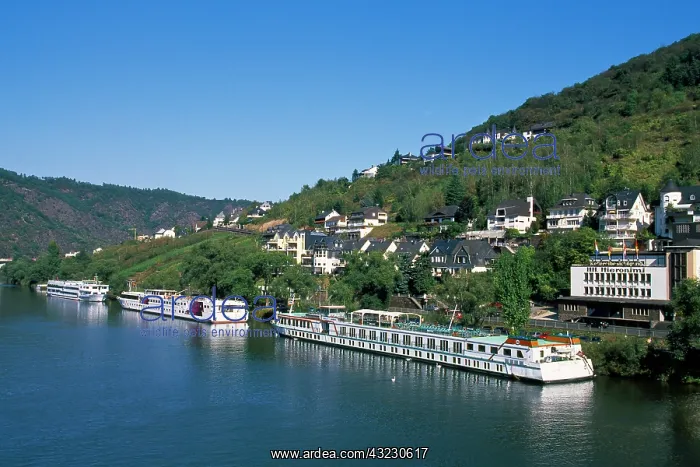 : Germany, Rhineland-Palatinate, Cochem, Mosel : Germany, Rhineland-Palatinate, Cochem, Mosel