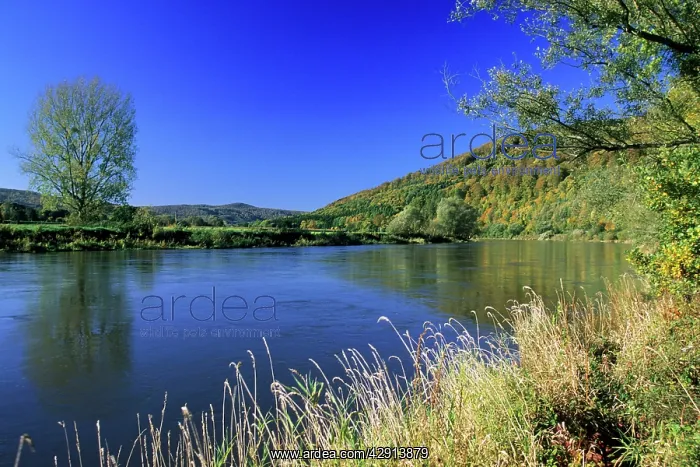 : Germany - River Weser and surrounding forestry : Germany - River Weser and surrounding forestry