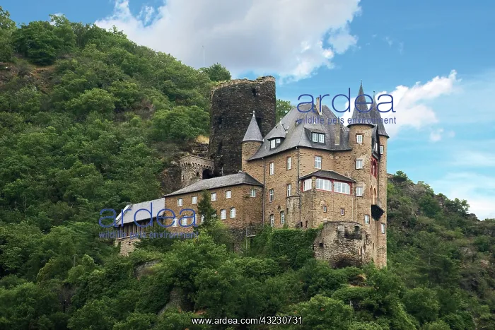 : Germany, Sankt Goarshausen, Sankt Goarshausen : Germany, Sankt Goarshausen, Sankt Goarshausen