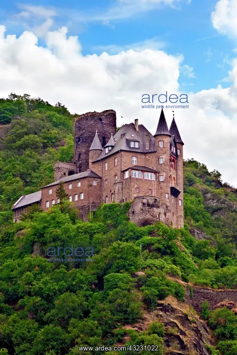  : Germany, Sankt Goarshausen, Sankt Goarshausen