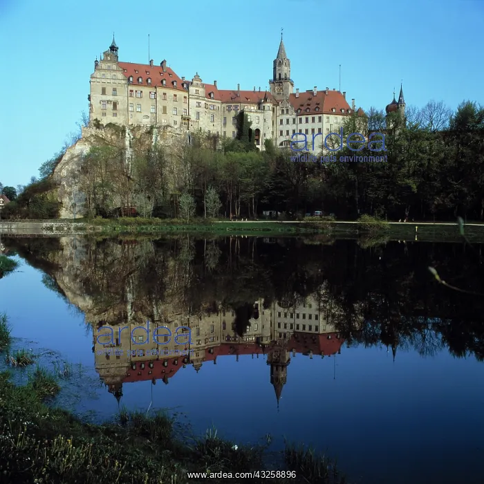 : Germany, Sigmaringen, Danube, nature reserve : Germany, Sigmaringen, Danube, nature reserve