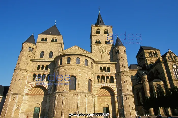 : Germany, Trier, Rhineland-Palatinate, Dom : Germany, Trier, Rhineland-Palatinate, Dom
