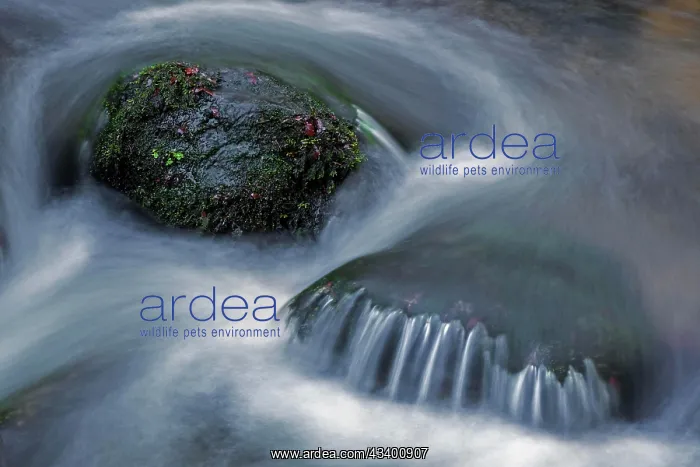 : Gertelbach, Gertelbach Waterfalls, Gertelbach Falls : Gertelbach, Gertelbach Waterfalls, Gertelbach Falls
