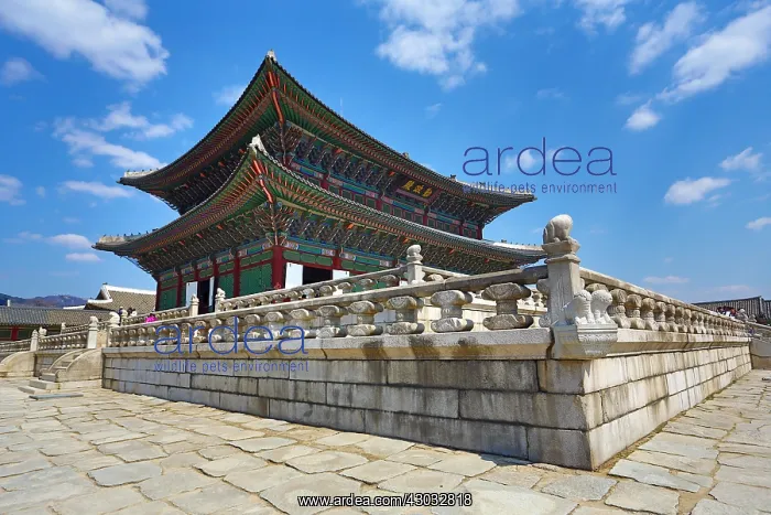 : Geunjeongjeon Hall Throne Room at Gyeongbokgung : Geunjeongjeon Hall Throne Room at Gyeongbokgung