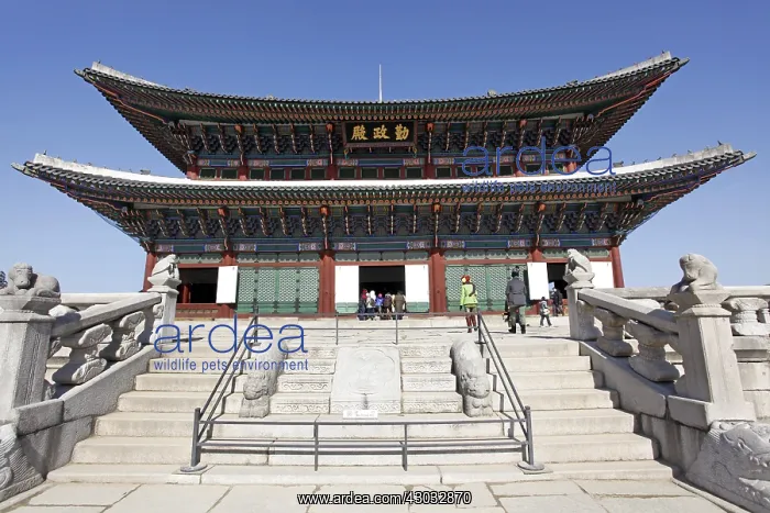 : Geunjeongjeon, the Throne Hall of Gyeongbok Palace : Geunjeongjeon, the Throne Hall of Gyeongbok Palace