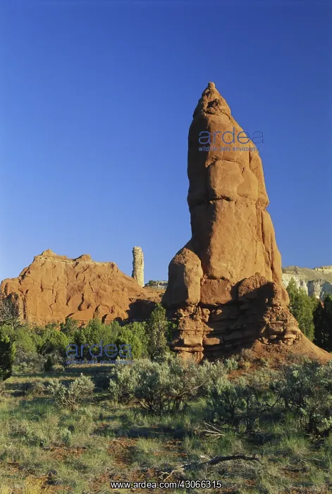 : Geyser Remnant, Kodachrome Basin, Utah : Geyser Remnant, Kodachrome Basin, Utah