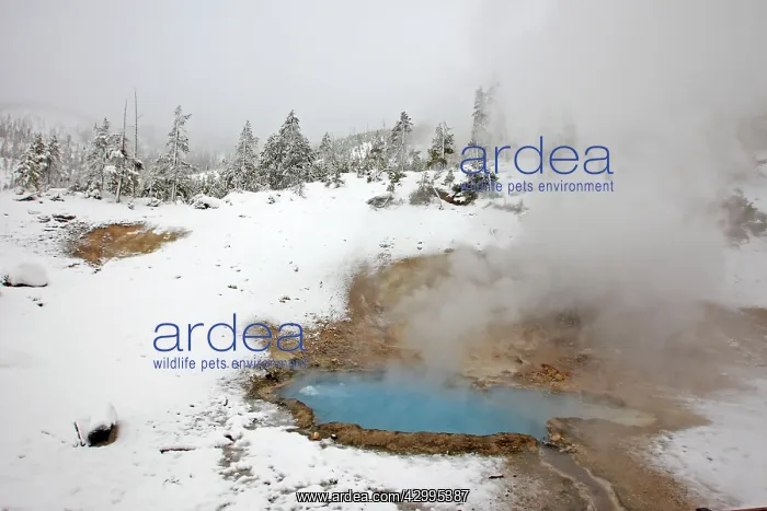  : Geyser - in snow