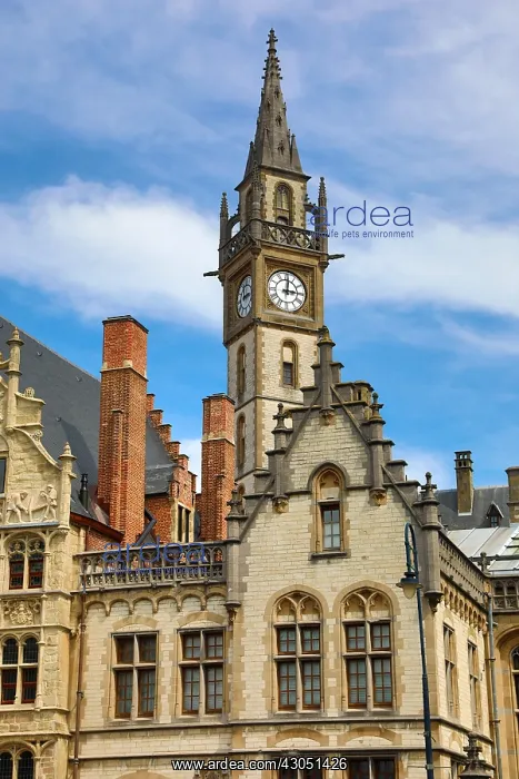 : Ghent clock tower and traditional buildings, Ghent, Belgium : Ghent clock tower and traditional buildings, Ghent, Belgium
